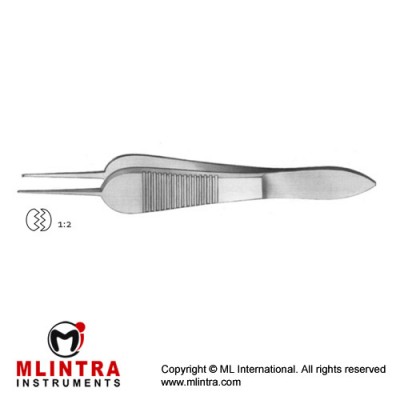 Sauer Fixation Forcep 1 x 2 Teeth Stainless Steel, 9 cm - 3 1/2" Tip Size 0.3 mm